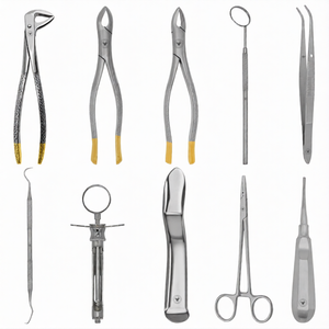 Kit de 10 Piezas para Extracción Dental Manual, Pinzas TC # 150 # 151 # Juego de Instrumentos Reutilizables de Acero Inoxidable 74N - Product Image 2