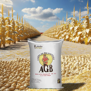 Sacs en plastique tissés de stockage de compost écologique protégé par l'exportation du Vietnam Emballage de farine de riz PP recyclable avec impression flexo - Product Image 3