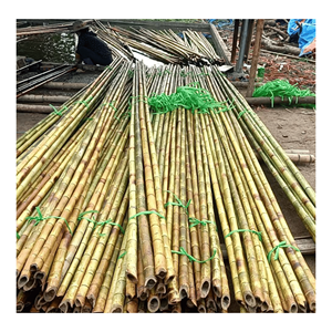 Poteau en bambou naturel fabriqué à partir de matériaux de bambou sélectionnés pour la construction et la fabrication de cadres de meubles au Vietnam - Product Image 1