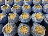 Venta al por mayor de champiñones salados deliciosos enlatados en bidones, champiñones frescos conservados, champiñones blancos a precio de fábrica