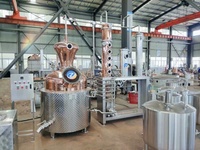 Distillateur d'alcool ZJ distillateur encore spiritueux prix distilleri