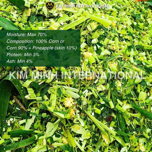 Silage de maïs – Aliment haute énergie pour le bétail - Product Image 5