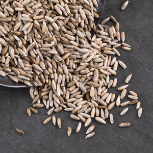 Semillas de centeno de alta pureza al por mayor, grano de centeno de calidad alimentaria para la producción de harina, destilación, alimento animal, sin OMG, calidad de exportación - Product Image 1