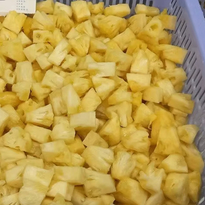 Morceaux d'ananas surgelés IQF, chair fraîche et sucrée tropicale pour la préparation de desserts, en provenance du Vietnam - Product Image 1