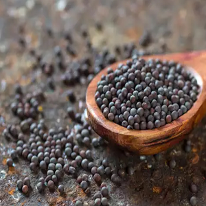 Semillas de Mostaza Negra India de Alta Pureza, Naturales, Enteras, Calidad de Exportación, Suministro a Granel para Procesamiento de Alimentos - Product Image 2