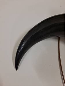 Corne à boire viking de qualité supérieure avec support, en corne de vache naturelle polie, pour bière, vin, cadeau, décoration, thème animal, artisanale - Product Image 2