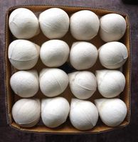 EXPORTSTANDAARD Premium Gehele Verse Gepelde Jonge Kokosnoot 750g 800g Ben Tre Vietnam Kwaliteit Gezond Natuurlijk Tropisch Drankje