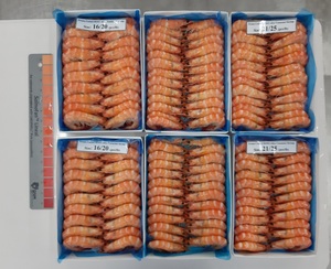 Camarones sin cabeza, mariscos, camarones blancos crudos Vannamei a la venta, CHOSO, el mejor proveedor en Vietnam, buenas ofertas - Product Image 5
