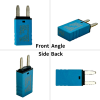 10A-30A Auto Reset Trip Free Cycling Thermal Mini Blade Fuse pour Accessoire pour RV