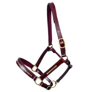 Cabestros de caballo de cuero puro duraderos para montar a caballo, diseño elegante, Halter de caballo con puntada elegante - Product Image 5