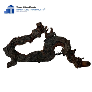 Décoration d'aquarium en bois flotté naturel Thanh Tung Thinh, forme irrégulière, écologique, durable, origine Binh Thuan - Product Image 4