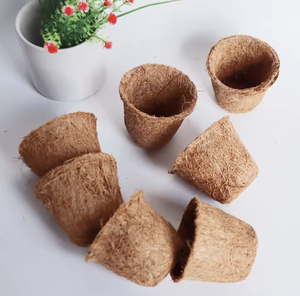 Maceta de Fibra de Coco Biodegradable para Cultivo de Plantas en Interiores y Exteriores, Material Natural Ecológico - Product Image 3
