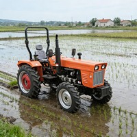 Chinesischer Günstigpreis-Traktor für Afrika 35PS 40PS 50PS Landwirtschaftstraktor
