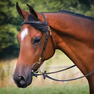 Nueva Llegada 2026: Brida de Cuero para Caballo con Riendas de Alta Calidad, Productos Ecuestres a Precio Directo de Fábrica - Product Image 5