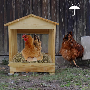 Wholesale High Quality <b>Pine</b> Wooden Nesting Boxes for Chickens Wooden Egg Laying Nest <b>Box</b> for Chicken Coop from Vietnam - Product Image 2