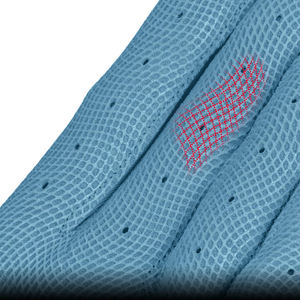 Guantes de Béisbol para Equipos Adultos, Color Azul Cielo, con Agarre en la Palma y Control de Humedad, para Práctica Diaria de Bateo - Product Image 3