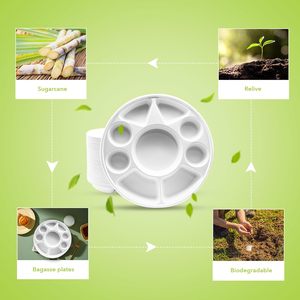 Assiette jetable Canejoy 12 pouces à 9 compartiments en bagasse biodégradable et robuste |   Eau légère compostable et écologique - Product Image 4