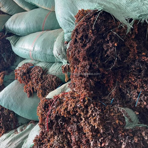 Algas Sargassum Secas 100% Puras de Binh Thuan, Vietnam, para Fertilizante y Alimento para Animales - KMI - Product Image 5