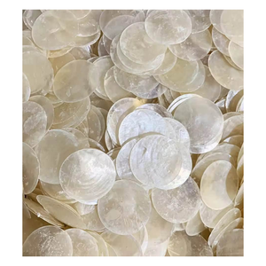 Natural Capiz <b>Shell</b> Disc Double Hole Handmade Modern Luxury Pendant White Iridescent Hanging <b>Ornament</b> Home Decor Craft Gift 99 - Product Image 6