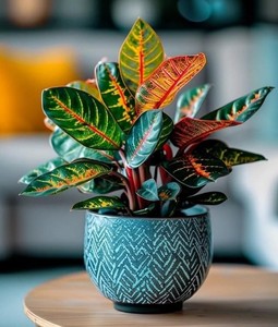 Maceta de Cerámica con Patrón Decorativo y Esmalte Premium, Diseño Duradero, Decoración Moderna para Plantas de Interior - Product Image 1