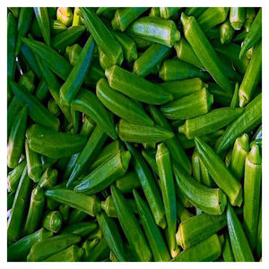 Okra de haute qualité, fraîche et verte, pour supermarchés et distributeurs – Fournisseur en gros - Product Image 5