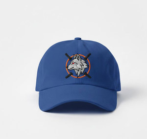 Casquette de baseball unisexe légère brodée en tissu à séchage rapide avec détails de couture décoratifs précis - Product Image 1