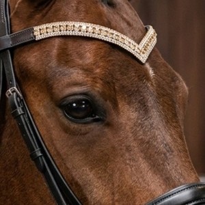 Élégante muserolle en cuir premium et cristal en forme de V avec strass taillés carrés, confortable, pour bride de dressage (OEM) - Product Image 1