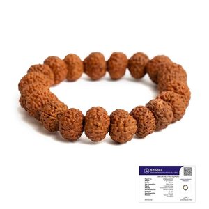 Bracelet Mala Unisexe en Perles de Bois de Rudraksha Naturel Marron, Certifié par un Expert, Idéal pour la Méditation, Cadeau Fait Main - Product Image 1