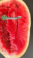 Graines hybrides de pastèque Dragon F1 de haute qualité, pureté 99,9 %, germination 85 %, origine Pakistan