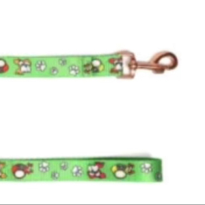 Fashionable Colorful Nylon Dog Leash for Small Medium Large Dogs from Divine International - Product Image 1