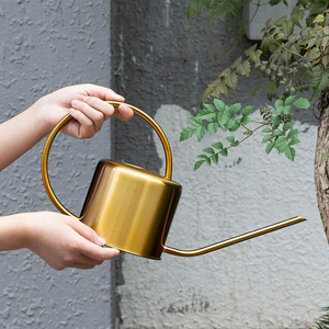 Arrosoir en métal pour plantes, 1,5 litre, arrosoir doré à long bec pour l'intérieur, l'extérieur, le jardin, la maison, le balcon, le bureau, décoratif - Product Image 6