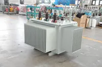 Transformateur à fil de cuivre DSJ DSJMT pour applications industrielles et commerciales, bonne performance d'isolation, 11KV triphasé 80 KVA 50/60Hz