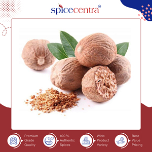 ขวดเครื่องเทศคุณภาพส่งออก Spicecentra ผลิตในอินเดีย ปรับแต่งได้ตามต้องการ เครื่องเทศเดี่ยว ผงลูกจันทน์เทศแห้งบริสุทธิ์ 100% จากธรรมชาติ อายุการเก็บรักษา 12 เดือน - Product Image 2