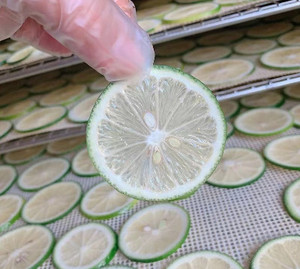 Rodajas de Limón Deshidratadas para Ingredientes de Té de Frutas y Suministro a Granel - Product Image 6