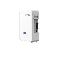 Sistem Penyimpanan Energi Rumah Terpasang di Dinding Rayworld 25.6V 100AH 2.56kWh dengan Inverter Surya dan LiFePO4