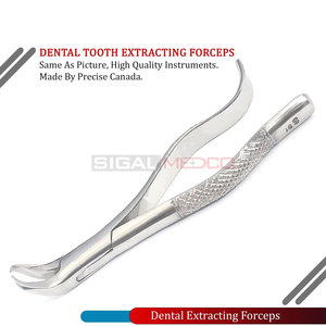 Premium German Stainless Steel Manual Dental Tooth Extracting Forceps #16S Professional Oral Surgery Extraction Surgical - Product Image 3