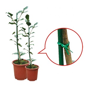 [Handy-Age]-Bâton de soutien durable pour plantes (GN0600-066) - Product Image 2
