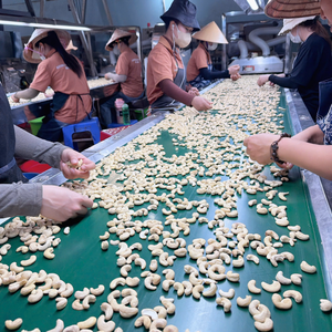 Noix de cajou en vrac SANTIGO, directement de l'usine, noyaux de cajou en vrac - Product Image 1