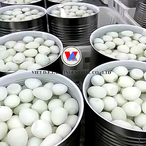 OFFRE SPÉCIALE : Œufs de caille en conserve dans la saumure - Œufs de caille bouillis en conserve - Œufs de caille pelés en conserve du Vietnam - Mme Alina - Product Image 5