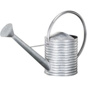 Arrosoir en acier galvanisé à double poignée, style vintage, pour plantes d'intérieur et d'extérieur – Meilleure vente - Product Image 3