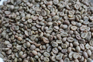 Café Verde Robusta de Vietnam de la Mejor Calidad, Cosecha 2026 - GRADO 1 Natural/Lavado/Proceso Miel - Tamaño 16.18 - Muestra Gratis - Product Image 2