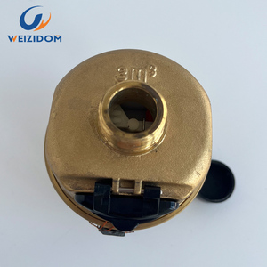 มิเตอร์น้ำทองเหลืองแบบลูกสูบหมุนวัดปริมาตร DN20 ราคาโรงงาน พร้อมระบบปิดผนึกของเหลว รับผลิตแบบ OEM/ODM ตามสั่ง - Product Image 1