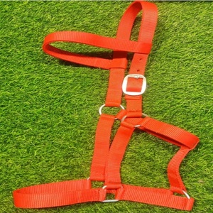 Produits équestres en gros : Haltères pour chevaux en nylon réglables, en matière souple, avec logo personnalisé et autres articles équestres - Product Image 1