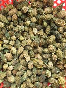 Rodajas de Melón Amargo Seco de Vietnam para Té y Uso Alimentario, Suministro a Granel de Alta Calidad, Nueva Cosecha - Sra. Tarina - Product Image 6