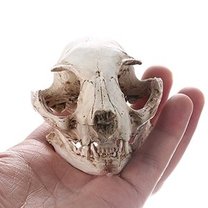 Tradebyd Premium Quality Designer Resin Animal Sculpted <b>Statue</b> Artistic Luxury Decorative Figurine for Collectors Modern Home - Product Image 1