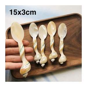 Cuillère en coquillage naturel finition nacrée, faite à la main, décorative pour la mise en scène de table, la décoration intérieure et une présentation élégante - Product Image 1