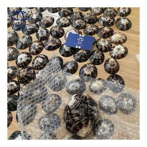 Concha de Limpet MÁS VENDIDA, Adecuada para Protección de la Piel y Uso Personal, Forma Pulida y Suave para un Contacto Delicado - Product Image 4