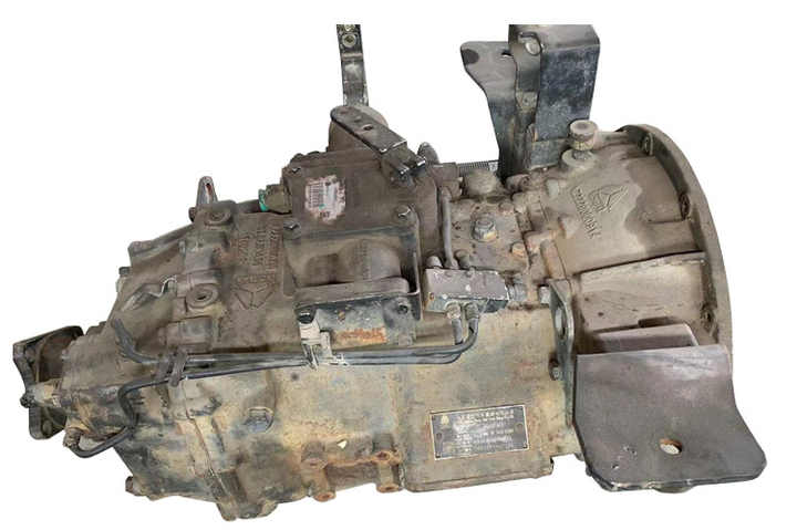 Image 4