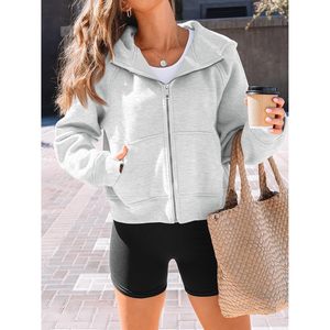 2025 2025 automne/hiver femmes haute qualité zippé à capuche polaire sweats vestes surdimensionnées pour la mode tenues d'hiver - Product Image 1