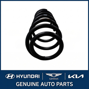 Forte New Leaf & Coil Springs 55330A7050 - Product Image 4